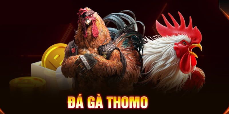 Đá Gà Thomo – Trò Chơi Cá Cược Online Hot Hit Nhất 2025
